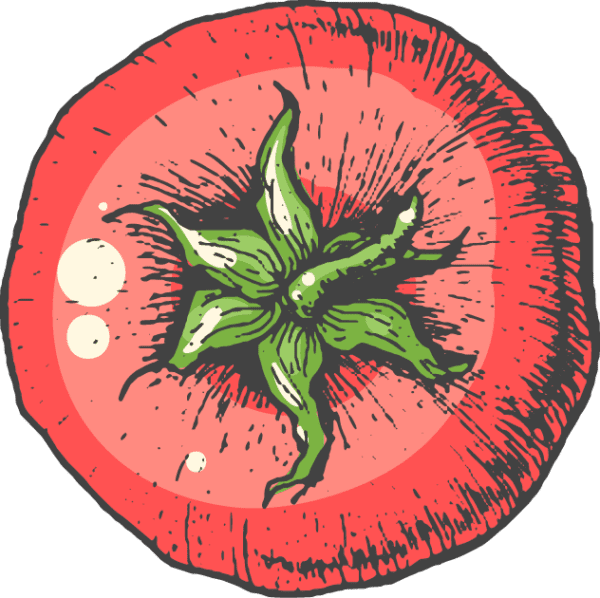 illustration of tomato